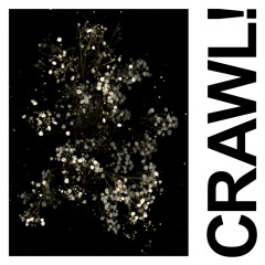 Crawl! (DGG Edit)