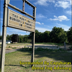 Dense Fog Advisory