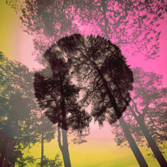 disillusion