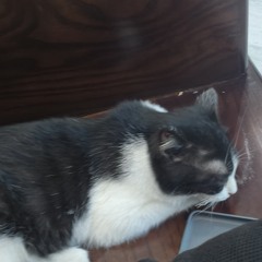 Đừng Nên Hỏi Vì Sao - Album bình thường - Bệt Band