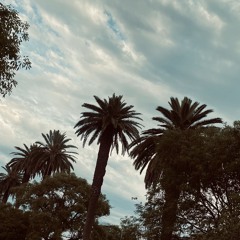 En mi face p. @loopgodmusic #UnUltimoVerano