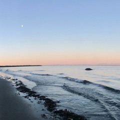 can't help falling in love (cover)