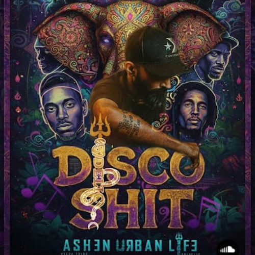 DISCO SHIT ORIGINAL MIX  SRIDELIC PROJECT by ASHEN