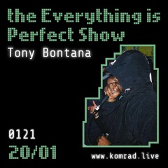 Everything Is Perfect Show 013 w/ Tony Bontana