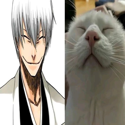 prombl — the race freestyle