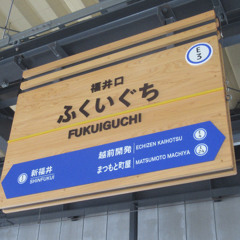 WRIGGLED FUKUIGUCHI ZONE