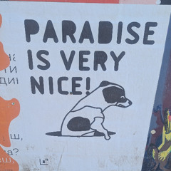 paradise is very nice
