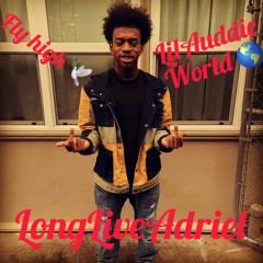 Long Live Auddie