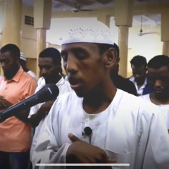 جميع  التلاوات  خاشعة  فضيلة الشيخ حسام عبد الباقي