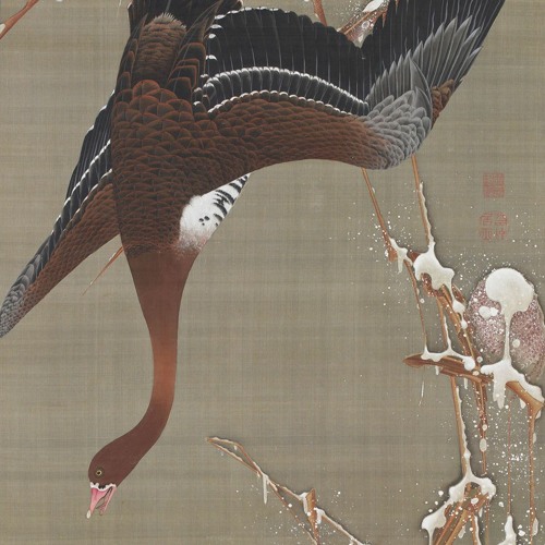 雁が音（a song of wild geese）