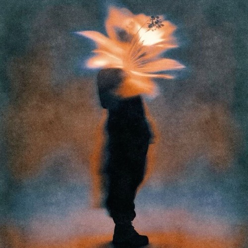 Out this chest (Prynce $Jerr Demo)