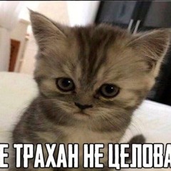 я тебя бум бум бум