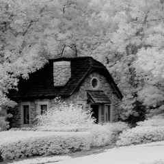 I DONT WANNA GO HOME 65 Withstems