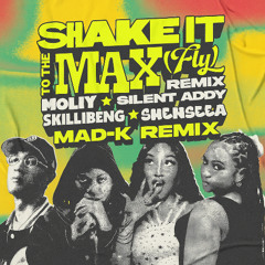 Shake It To The Max (MAD-K REMIX) VINA HOUSE