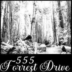 medixacy - 555ForrestDrive (prod. Shango)