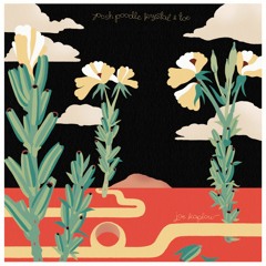 Joe Kaplow - Rock And Roll