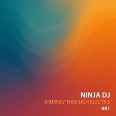 001 Journey Through Electro