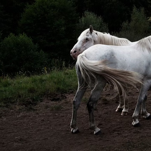 hadone - a space of authority