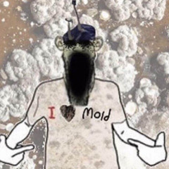 Man type beat