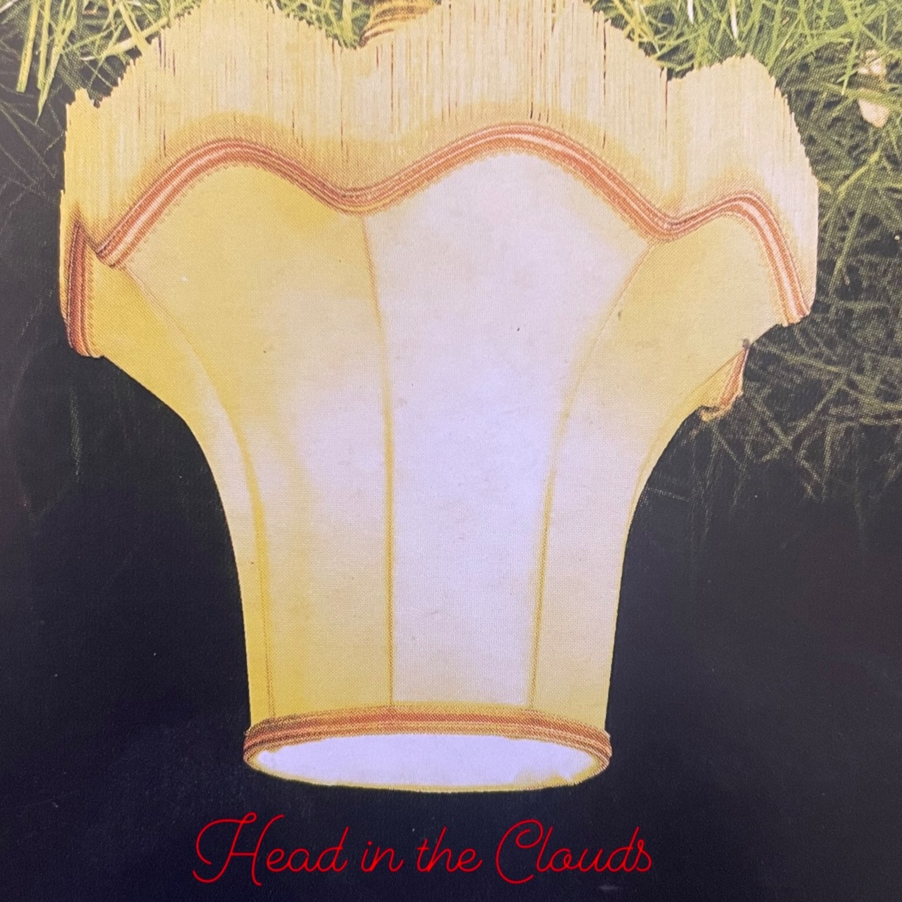 Head in the Clouds