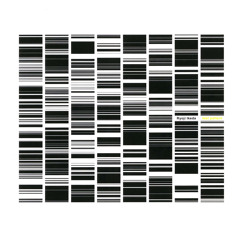 test pattern #0000