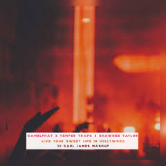 Camelphat X Temper Traps X Shawnee Taylor - Live Your Sweet Life In NYP2 (DJ Carl James Edit)