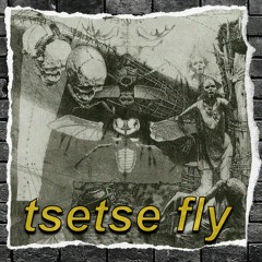 tsetse fly - instrumental by OnDaKniv