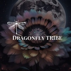 Dragonfly Abundance Codes 1212121
