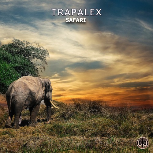 TrapaleX - Safari (WSR051 - Wayside Records)