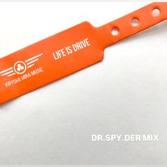 KRYSHA MIRA WHITE BIRTHDAY - DR.SPY.DER MIX @RECHNOY 12.07.2025.wav
