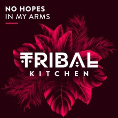 No Hopes - In My Arms (Radio Edit)