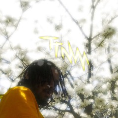 TTMM BPM 111 (prod. meatcomputer)