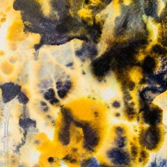 PREMIERE | Robin Kampschoer - Sketch 6 [DRSS223]