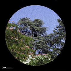 Cordeliers - Wonder