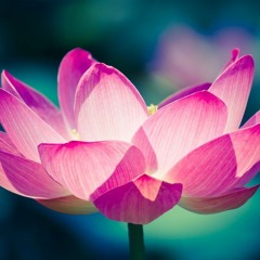 Unfolding ~ Facilitated Live Set ~ Jan 2023