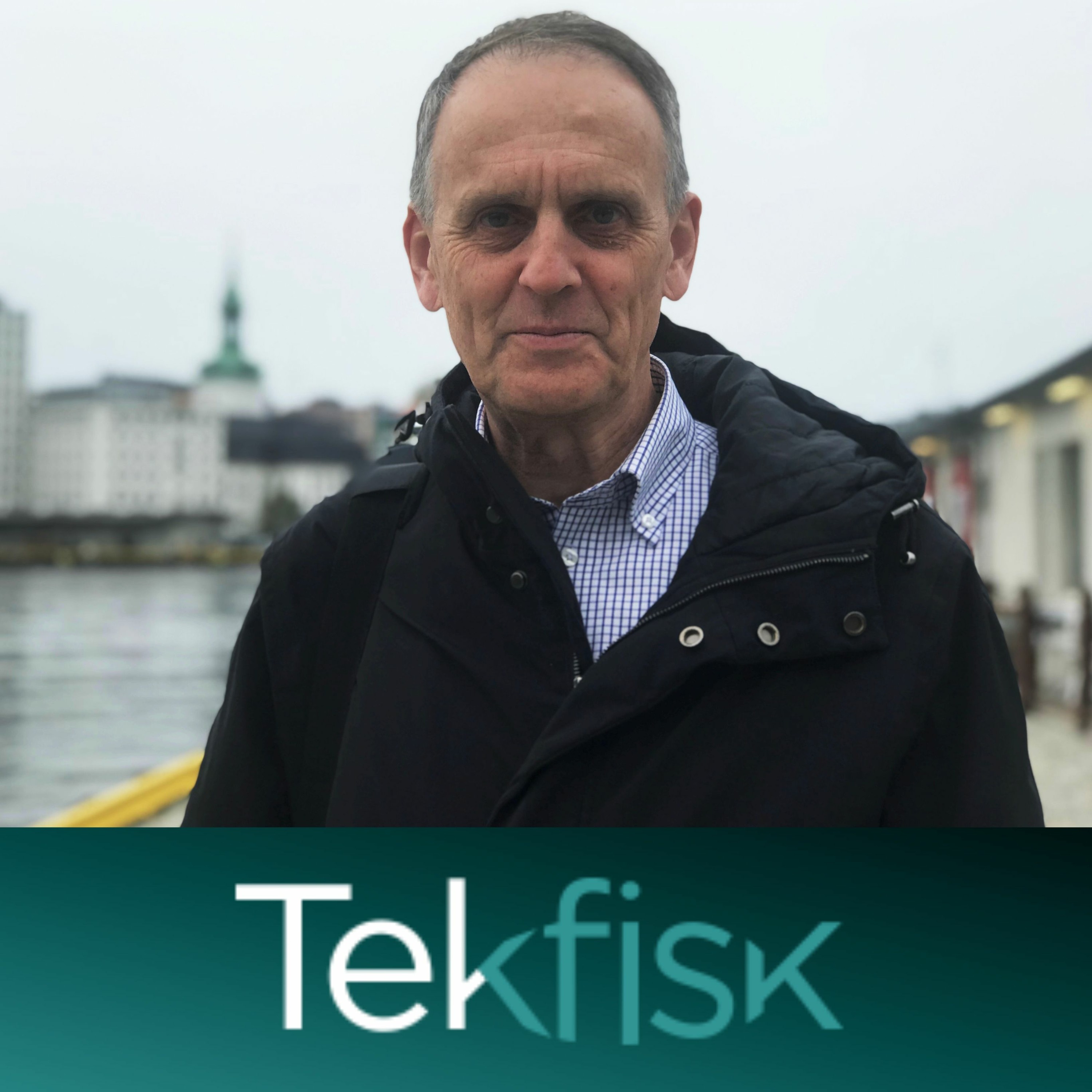 Tekfisk