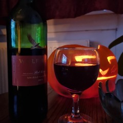 I'm Your Man (cover)