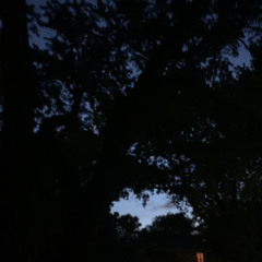 Minister Julius - Writing On The Wall (Prod. Notty VanDutch)