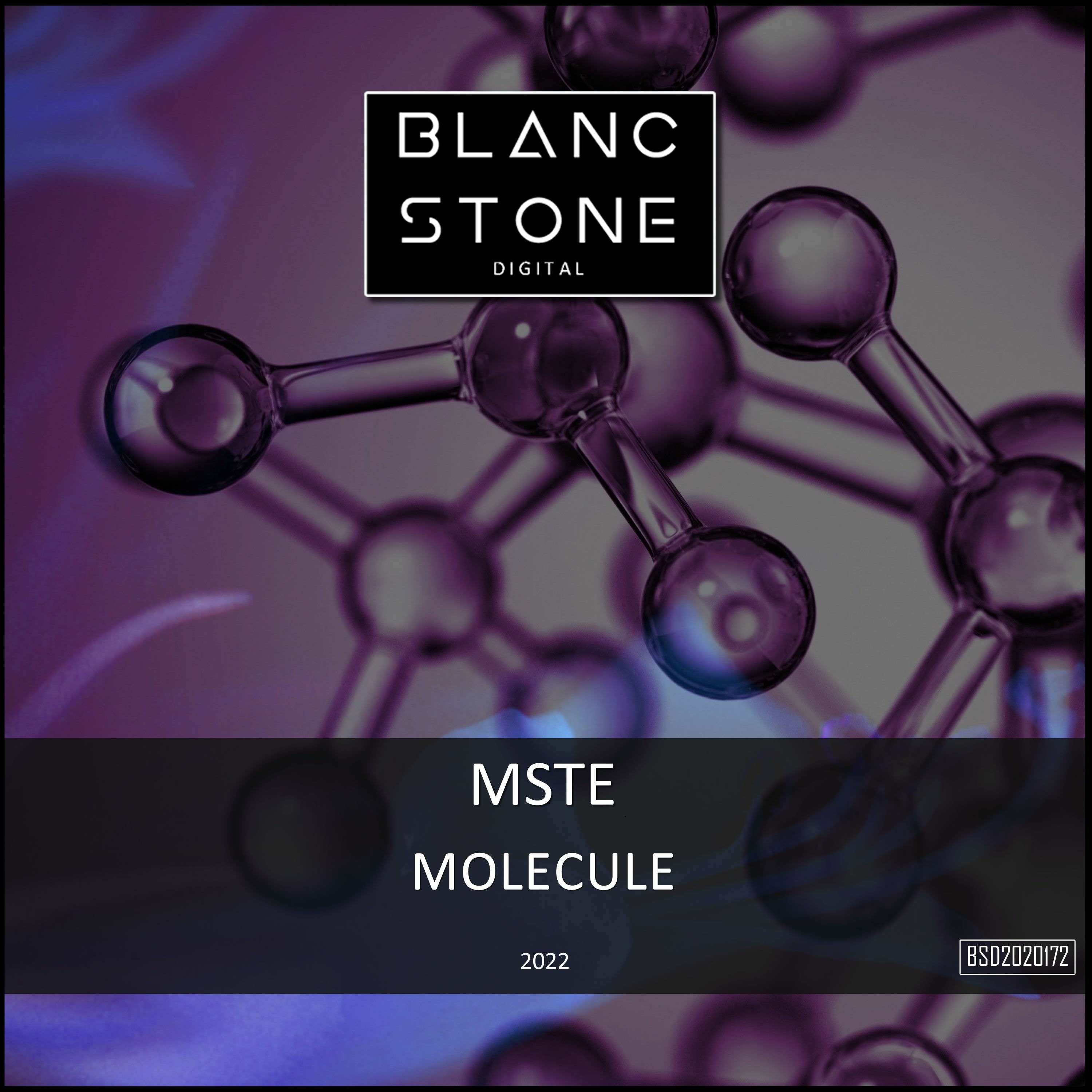 MSTE