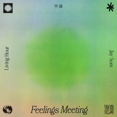 Feelings Meeting
