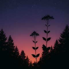 Vespertine Composure