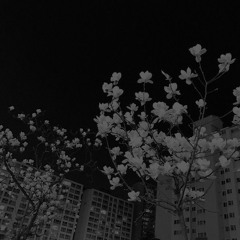 2am.