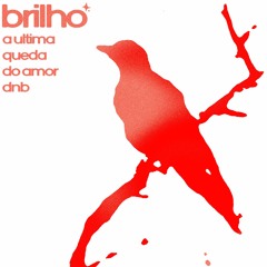 DJ BRILHJO - A ULTIMA QUEDA DO AMOR DNB (FREE DL)