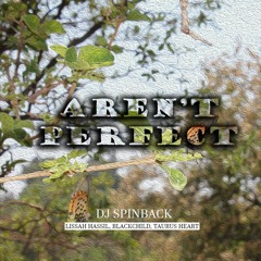 Dj Spinback - ( Aren't Perfect )