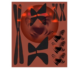 Harps for Rosie (dec ‘21)