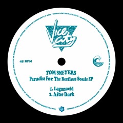 Tom Smeyers - Paradise For The Restless Souls EP - Welcome To Vice City