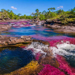 Amazzonia