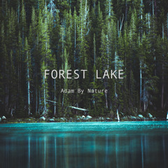Forest Lake