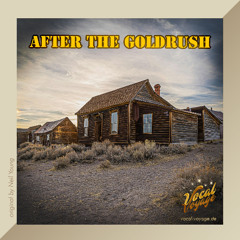 After the goldrush - Neil Young (Cover)