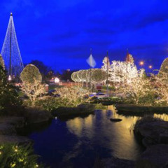 Best Things To Do In Nashville Tn At Christmas Tours Reviews